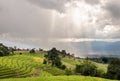 Sunlight with terrace rice field