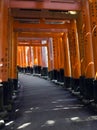 Sunlight through Torii Gates