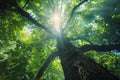 sunlight through tree branches, AI generated Royalty Free Stock Photo