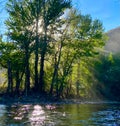 Sunlight Through A Tree Next To. River With Mountain And Blue Sky Royalty Free Stock Photo