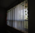 Sunlight through window blinds
