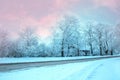 Sunlight in the winter forest. Panoramic view. Panorama winter fairy tale