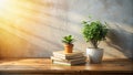 SunlightBathed Minimalist Home Decor A Study in Simple Elegance with Potted Plant Shadows Dancing on Books and a Royalty Free Stock Photo