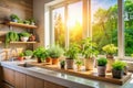 SunlightDrenched Windowsill Herb Garden Growing Fresh Herbs and Vegetables in a Modern Kitchen Royalty Free Stock Photo