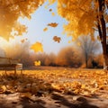 Sunlit autumn landscape Maple trees, golden leaves, and bright sunlight