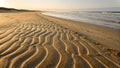 Sunlit Beach Sand Patterns: Coastal Serenity with Intricate Wind and Wave Formations Royalty Free Stock Photo