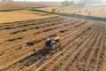 Sunlit bean plantation and farm fields with farmer driving a tractor and sun glare. Morning farm landscape. Horizontal