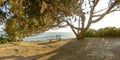 Sunlit bench with a scenic view of Scripps Pier Royalty Free Stock Photo