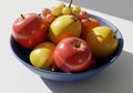 Sunlit Bowl of Red Apples, Yellow Pears, and Green Grapes Royalty Free Stock Photo