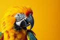 Sunlit brilliance vividly colored parrot on yellow background, profile view