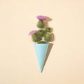 Sunlit cactuses with ice cream cone on a sand color background. Creative minimal concept with food and nature