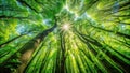 Sunlit canopy of a lush green forest, viewed from below, showing majestic trees reaching for the sky. Generative AI Royalty Free Stock Photo