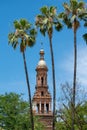 Sunlit church tower seen through tall palm trees.