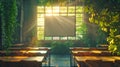 Sunlit Classroom with Greenery