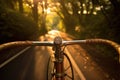 sunlit cobweb-covered bicycle handlebars