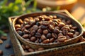 Sunlit coffee beans in rustic wooden bowl with natural foliage Royalty Free Stock Photo