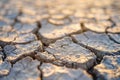 Sunlit cracked dry earth, highlighting the texture and severity of drought Royalty Free Stock Photo