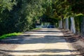 A sunlit dirt pathway, walking path bordered by dense green trees and a chain-link fence Royalty Free Stock Photo