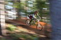 Sunlit Downhill Mountain Biker