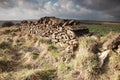 Sunlit dry stone wall