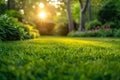 Sunlit eco-friendly garden with lush grass and morning dew drops Royalty Free Stock Photo