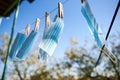 Sunlit face masks are hung to dry for disinfection fastened by wooden clothespins. New normal concept