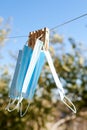 Sunlit face masks are hung to dry for disinfection fastened by wooden clothespins. New normal concept