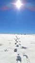 Sunlit Footprints: Traces on Pristine Snow Royalty Free Stock Photo