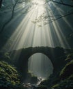 Sunlit Forest with Ancient Stone Arch Bridge Royalty Free Stock Photo