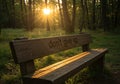 Sunlit forest bench with inspiring message under setting sun rays Royalty Free Stock Photo