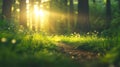 Sunlit forest pathway surrounded by vibrant greenery and wildflowers Royalty Free Stock Photo