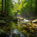Sunlit forest scene featuring a tranquil stream flowing over smooth Royalty Free Stock Photo