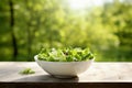 Sunlit Fresh Garden Salad Bowl
