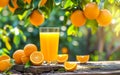 Sunlit Fresh Oranges and Juice in Nature