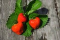 Fresh strawberries on outside table with summer foliage in background