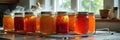 Sunlit freshly canned jars of homemade preserves cooling on kitchen rack Royalty Free Stock Photo