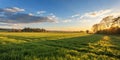 Grass Field and Sunshine Royalty Free Stock Photo