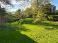 Sunlit Green Grass in the Neighborhood