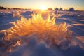 sunlit ice crystals on arctic snow surface Royalty Free Stock Photo