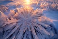 sunlit ice crystals on arctic snow surface Royalty Free Stock Photo
