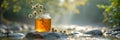 Sunlit jar of honey and daisies on river rock amidst tranquil stream Royalty Free Stock Photo