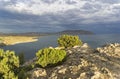 Sunlit juniper bushes on top of a coastal cliff