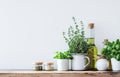 Sunlit Kitchen Counter With Olive Oil, Fresh Herbs, and Cooking Utensils in the Morning Royalty Free Stock Photo