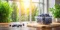 Sunlit kitchen countertop with fresh blueberries in a clear container and lush greenery. Generative AI Royalty Free Stock Photo