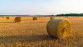 Sunlit landscape with many straw bales on a gold stubble field Royalty Free Stock Photo