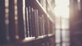Sunlit library bookshelf, books, knowledge, research, education, background, window, light, depth, study Royalty Free Stock Photo