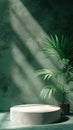 Sunlit Modern Reception Area with Green Plants