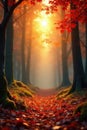 Sunlit orange and red leaves, soft focus forest scene , orange, light, woods Royalty Free Stock Photo