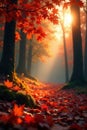 Sunlit orange and red leaves, soft focus forest scene , nature, graphic Royalty Free Stock Photo