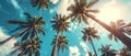 Sunlit Palm Leaves Wallpaper and Design for Summer Vibes, Generative AI Royalty Free Stock Photo